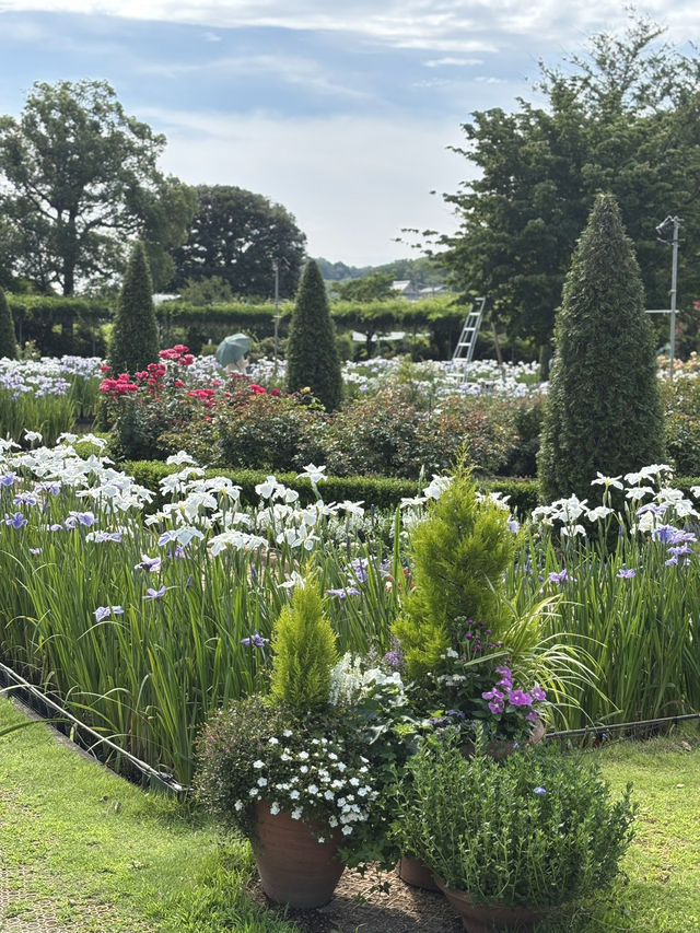 花に癒される！季節の花畑͛💠有名な観光地は？