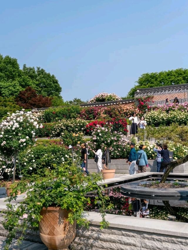 Hanging Out at Jeonju Arboretum