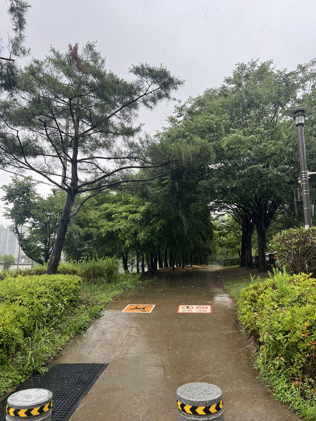 일자산 숲길여행