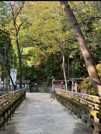 📍 양산 속 비밀 정원, 홍룡폭포에서 여름 한 모금