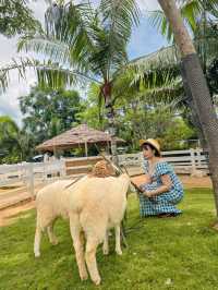 Bucolic Khaoyai