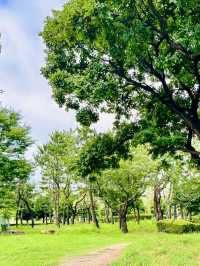 Busan Olympic Park: A Verdant Urban Oasis for Recreation and Relaxation