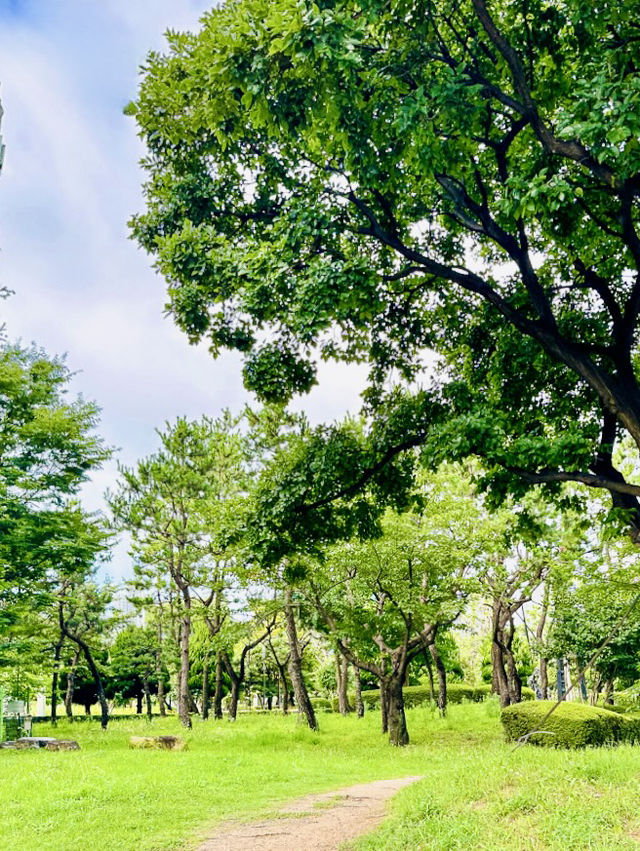 Busan Olympic Park: A Verdant Urban Oasis for Recreation and Relaxation