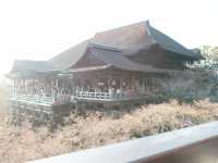 ไหว้พระขอพรที่วัดน้ำใส เมืองเกียวโต