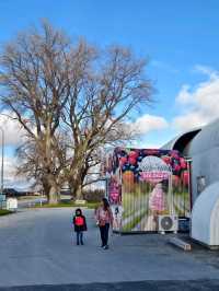 Fresh Picks and Fruity Treats at Jackson Orchard