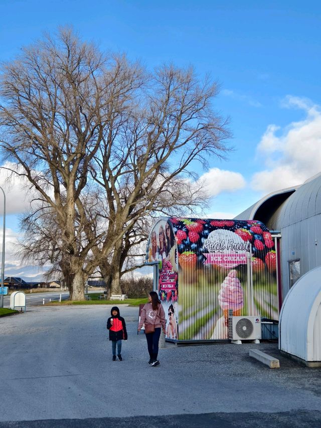Fresh Picks and Fruity Treats at Jackson Orchard