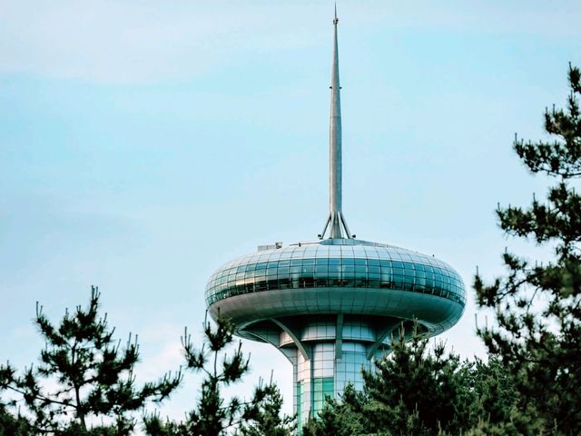 Tower View