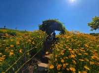 Flower Vibes at Jisepo