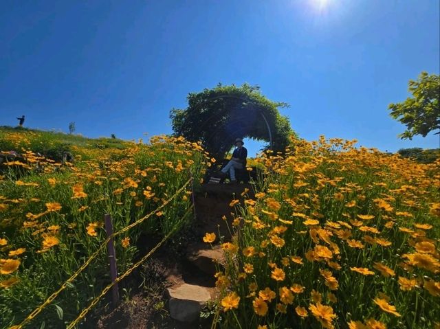 Flower Vibes at Jisepo
