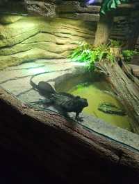 Sea Life Bangkok Ocean World ต้องมาให้ได้!
