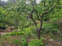 We went to this pension at Inje for a retreat
