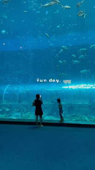 🐢 VinWonders Phú Quốc – Sea Shell (Aquarium)