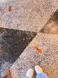 台中美食｜ 藏在舊銀行裡的復古系冰店