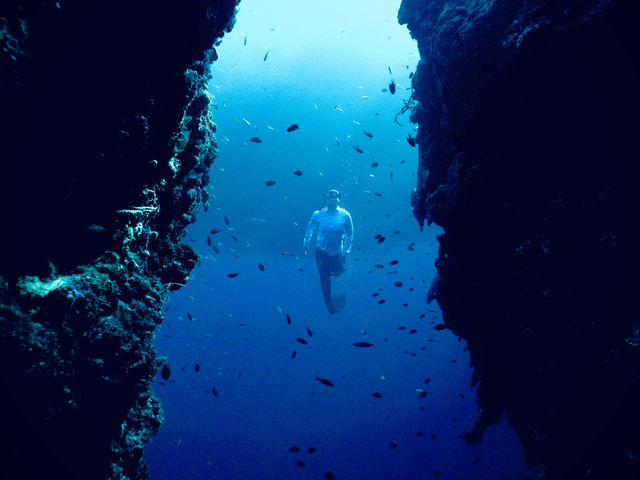 Napaling Reef 自由潛水看沙甸魚風暴