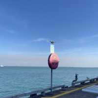 🌴 Darwin City Walk – Australia’s Laid-back Tropical Gem 🇦🇺
