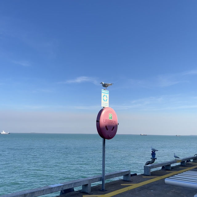 🌴 Darwin City Walk – Australia’s Laid-back Tropical Gem 🇦🇺