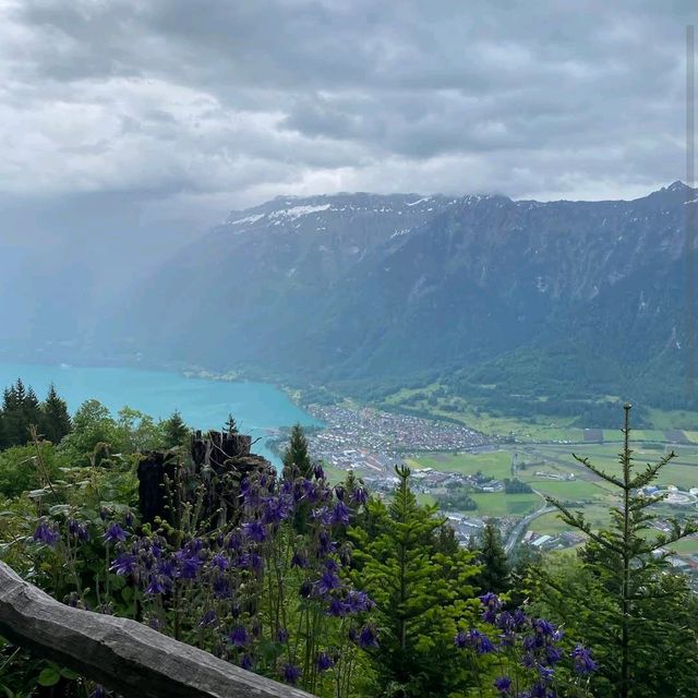Harder Kulm (Interlaken Viewpoint)