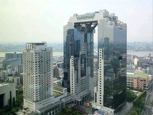 Waldorf Astoria Osaka(월도프 아스토리아 오사카) Peacock Alley 애프터눈티