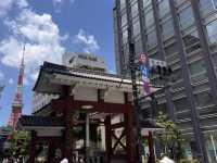 東京 増上寺 🏯🌸