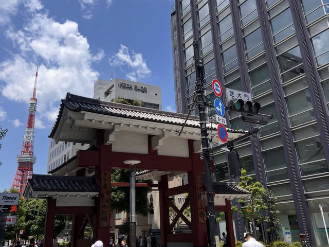 東京 増上寺 🏯🌸