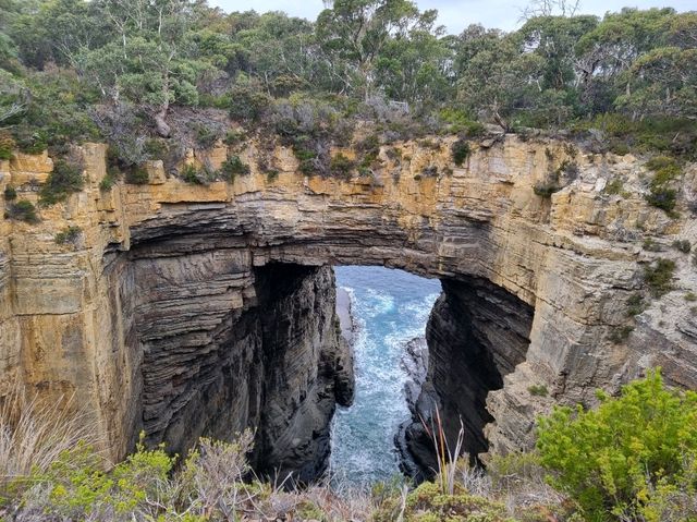 6 Days in Hobart