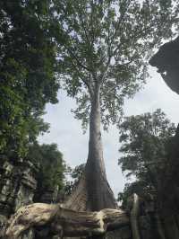 When Cambodia Touched The Gods