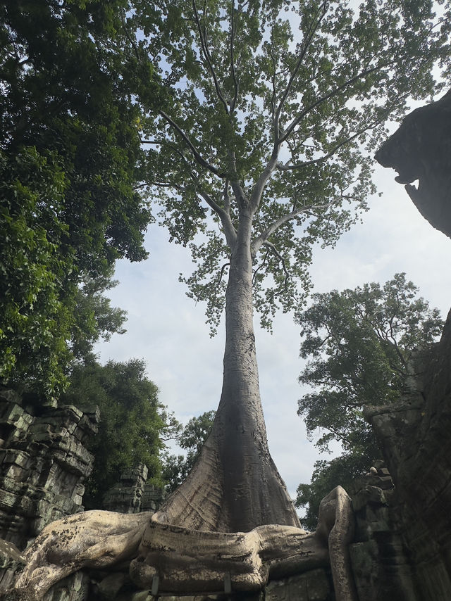 When Cambodia Touched The Gods