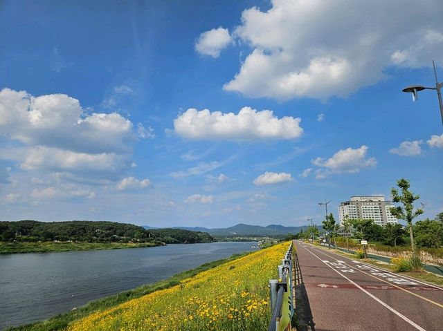 여주 당일치기 여행 남한강 출렁다리 리버뷰 카페