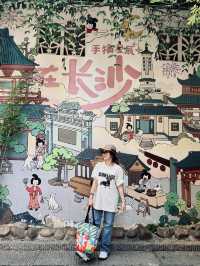 Changsha Zhangjiajie 10 Days Itinerary 🇨🇳✨