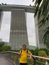 Gardens By the Bay ชมต้นไม้ยักษ์ โชว์แสงสีเสียง 