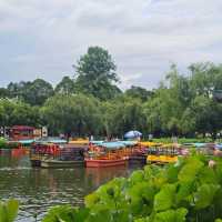 ทะเลสาบต้ากวน one day in kunmimg