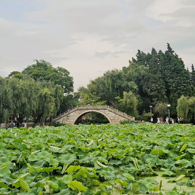 ทะเลสาบต้ากวน one day in kunmimg