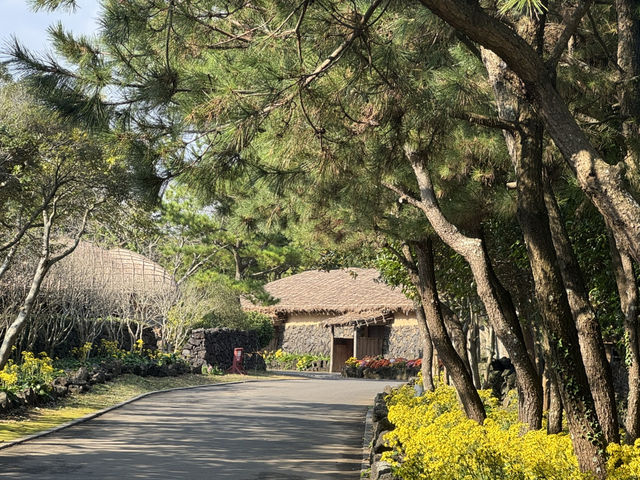 【済州旅行】済州民族村に行こう！