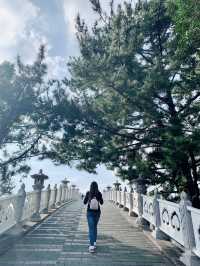 Cheonjeyeon Waterfall & Seonimgyo Bridge – Jeju 