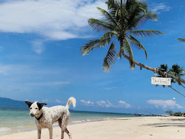 Ban Tai Beach 