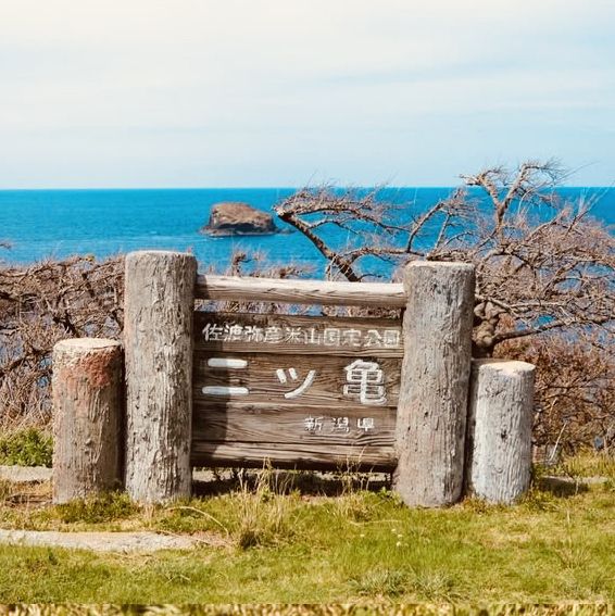 Futatsugame Beach: Shizuoka’s Secret Coastal Paradise – A Solo Traveler’s Escape"** 🌊🐢   
