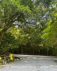 [Japan 🇯🇵] The best town I have visited - Ise Jingu and Shopping Area