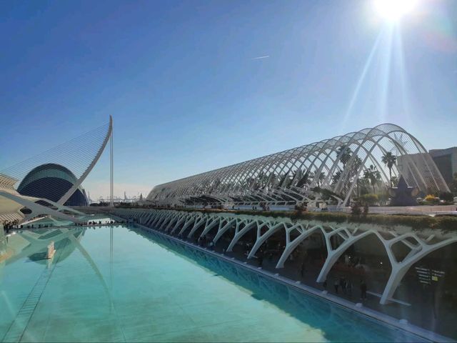 The Umbracle is a Whole Mood 