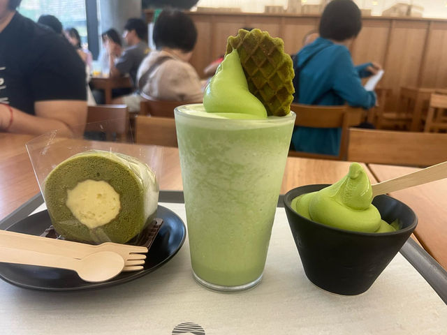 Green Tea Bliss at Ossuloc Tea Museum, Jeju