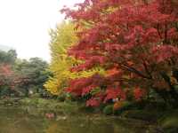 秋意盎然的都心秘境日比谷公園