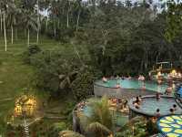 Alas Harum & Tegallalang Rice Terraces: Ubud's Iconic Beauty! 🌾✨