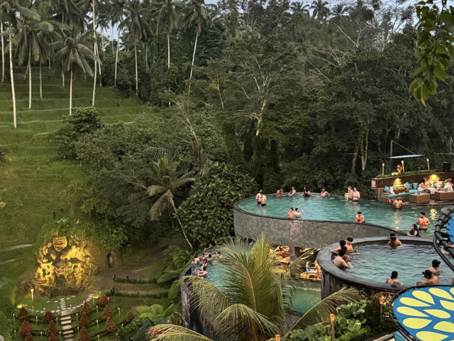 Alas Harum & Tegallalang Rice Terraces: Ubud's Iconic Beauty! 🌾✨