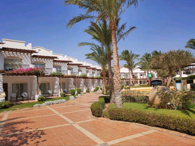 Desert Bliss Meets Beach Chill at Jaz Dahabeya