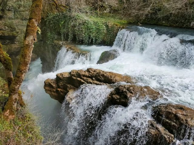 Floating Through a Dream at Martvili Canyon