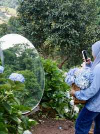 Chiang Mai on RM1.5K: 5 Days of Food & Flower Farm