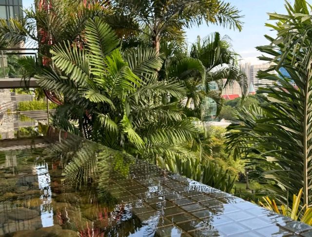 Sleep in a Sky Garden – My Eco-Luxury Stay at PARKROYAL COLLECTION Pickering