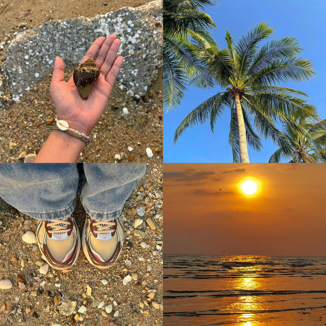 แพลนเที่ยวบางแสน-บางพระ 🌻