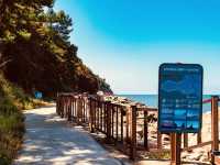 Mokpo Skywalk: Walking on Air Above Korea’s Southern Coast"** 🌊🌉   