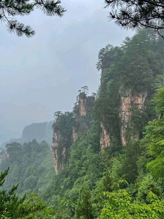 Zhangjiajie Forest Park, Avatar Vibes and Sky High Views