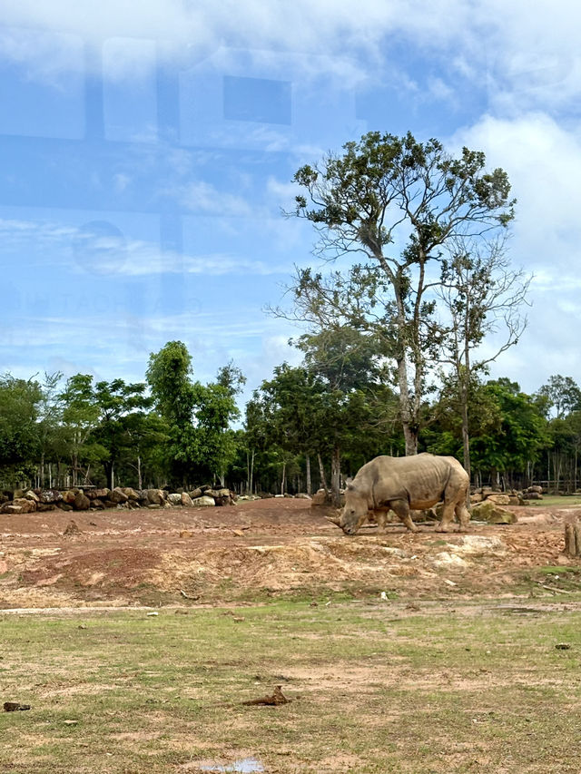 富國島珍珠野生動物園-近距離觀察猛獸，與可愛動物互動餵食